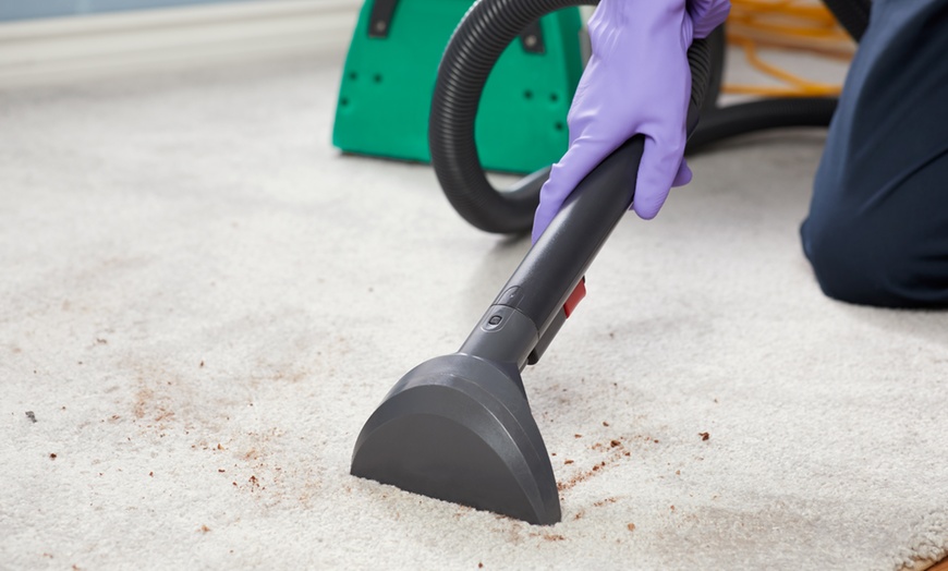The Hidden Benefits of Investing in Quality Carpet Cleaning
