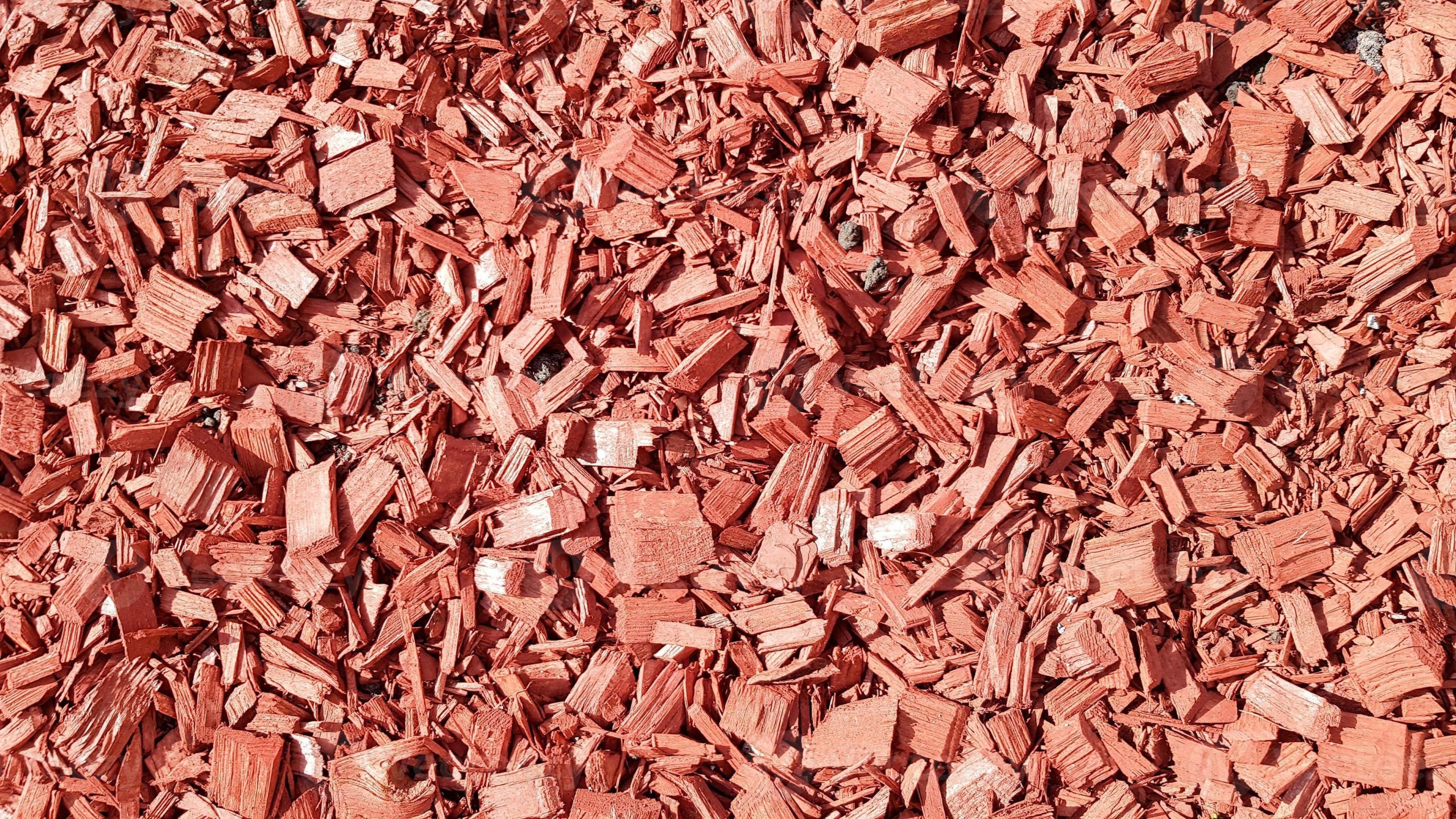 bark package online 