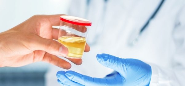 synthetic urine for drug test